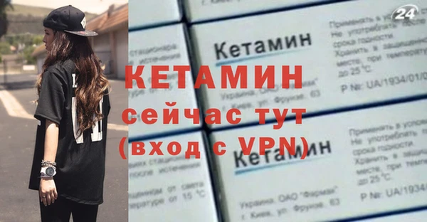 сатива Ростов