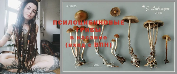 МДПВ Россошь