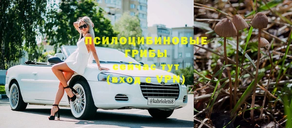амфетамин Алексеевка