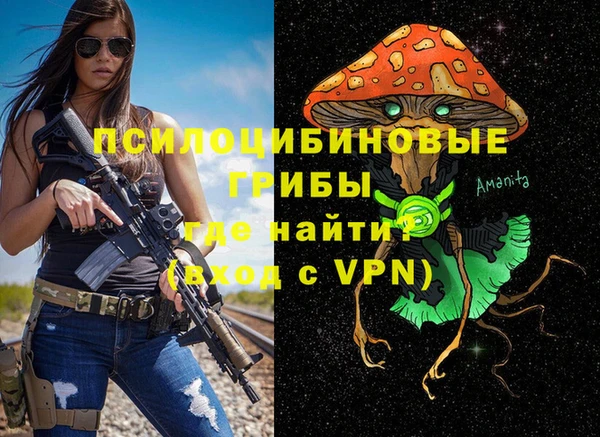 сатива Ростов