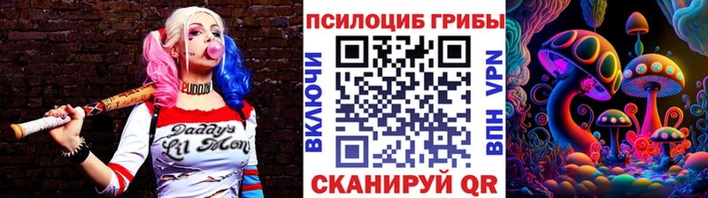 дарнет шоп Нерчинск Галлюциногенные грибы GOLDEN TEACHER