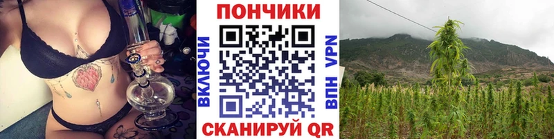 МАРИХУАНА семена Нерчинск